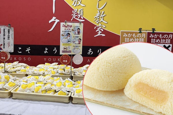 【新宿発】初物「いちご狩り」栃木ブランド品種が30分食べ放題!!光り輝く「あしかがフラワーパーク」イルミネーション&おかしパークで「みかもの月」詰め放題も満喫★ 日帰りバスツアー3